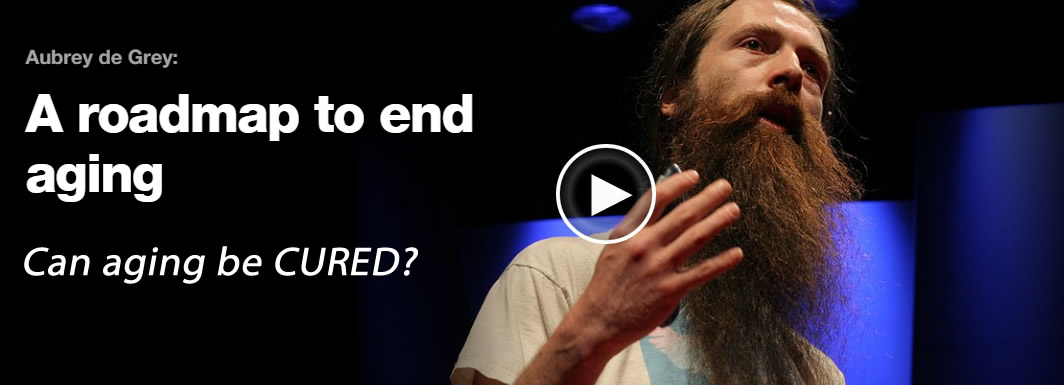 The Roadmap to the End of Aging