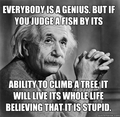 "Everybody is a genius. But if you judge a fish by its ability to climb a tree, it will spend its whole life thinking it is stupid.” - Einstein